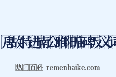 唐故特进南公睢阳庙碑反义词是什么意思的图片